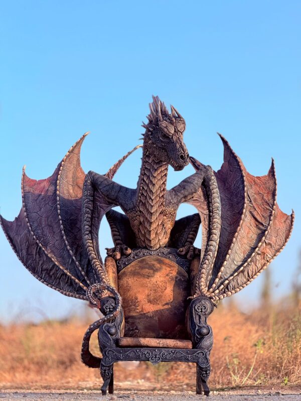 Dragon Seat-7897 (2)